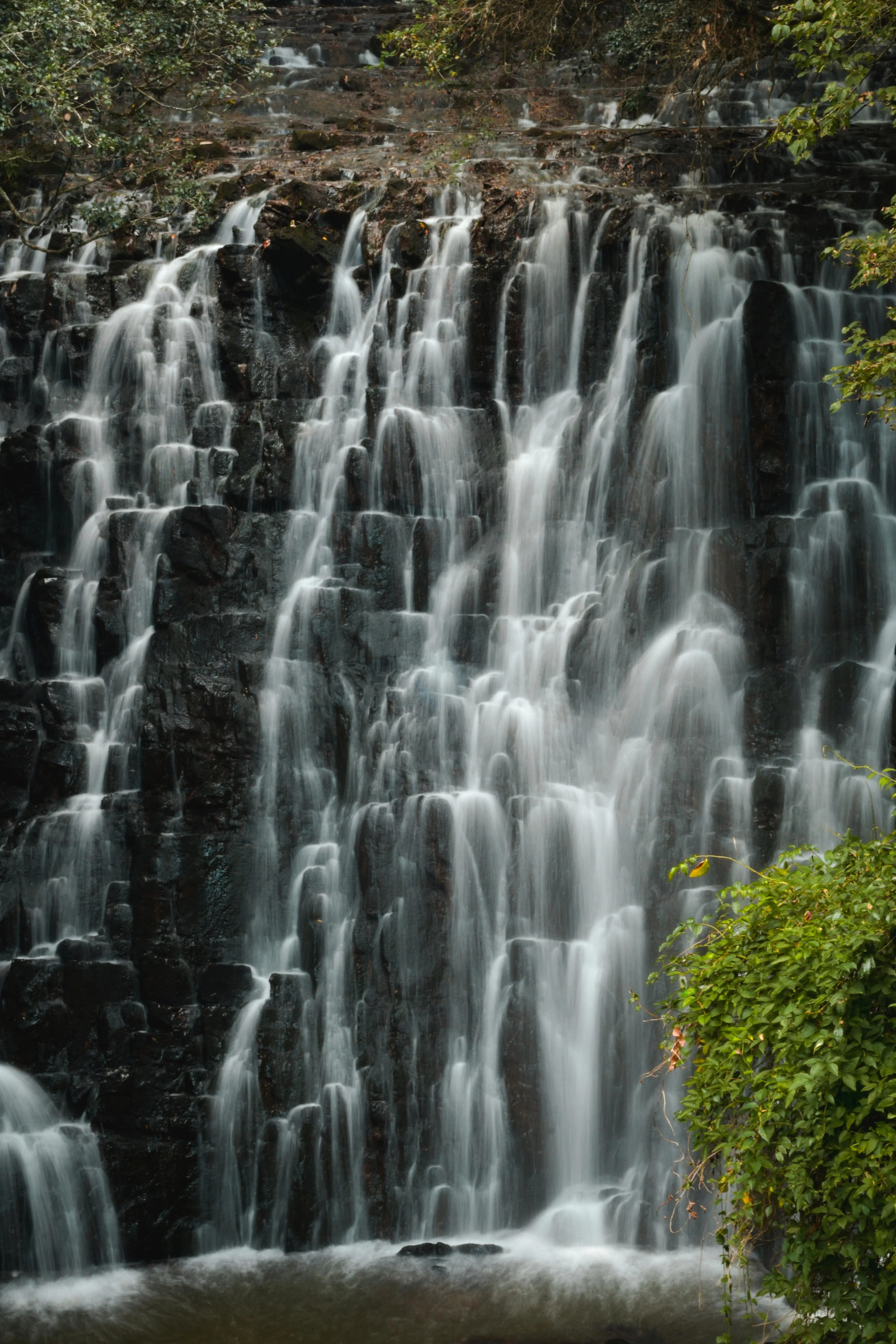 Mesmerizing North  East India Tour