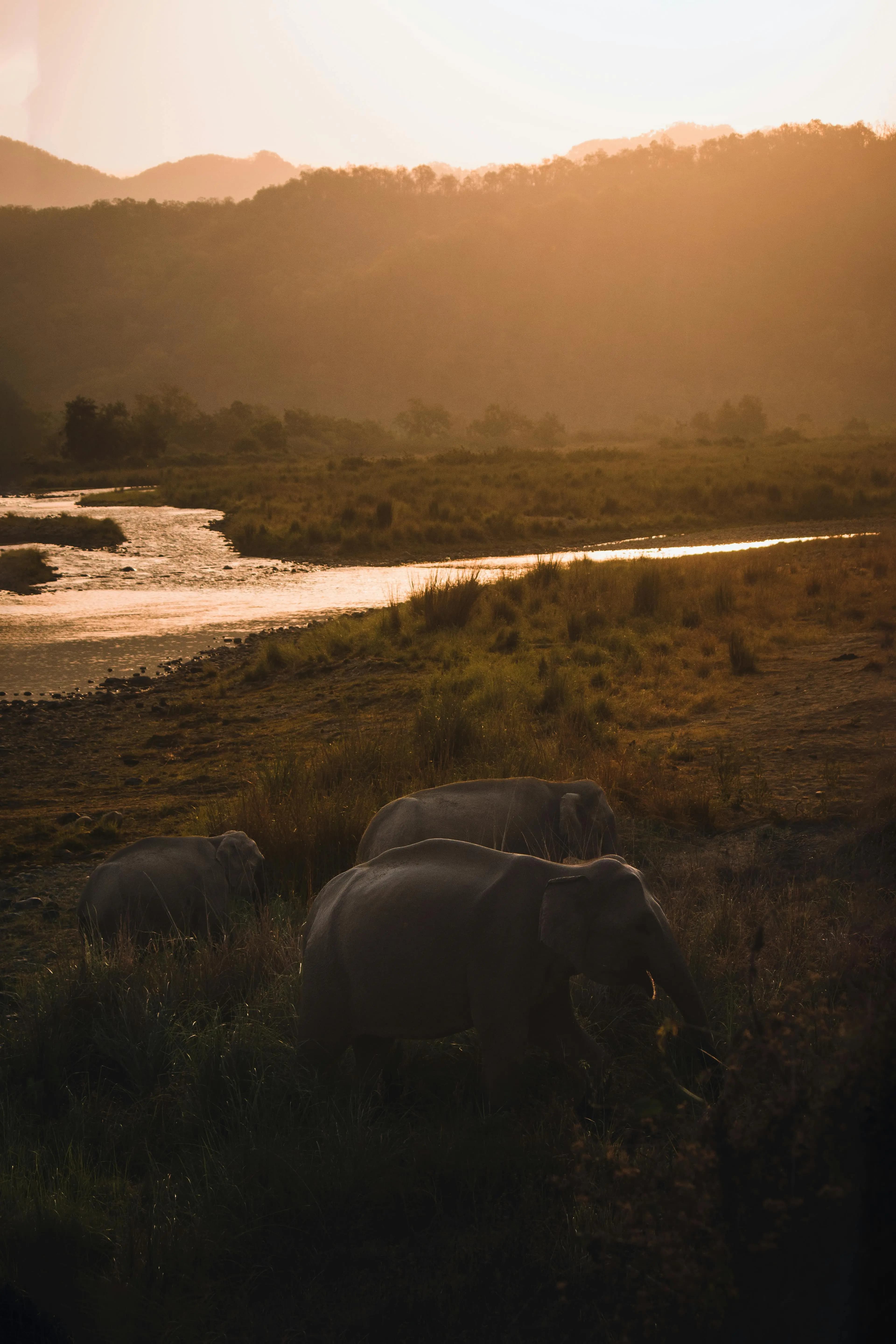 Jim Corbett