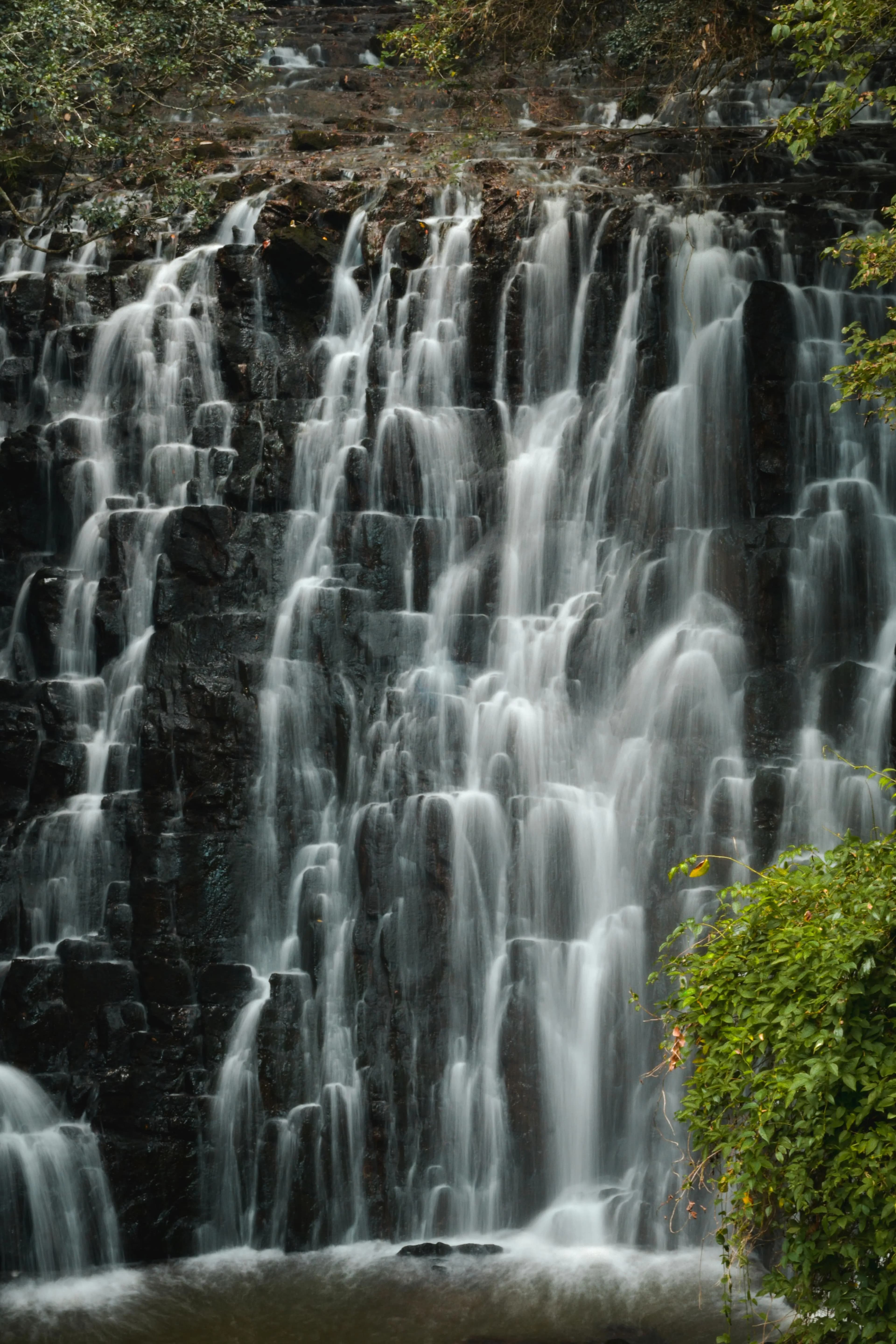 Mesmerizing North  East India Tour