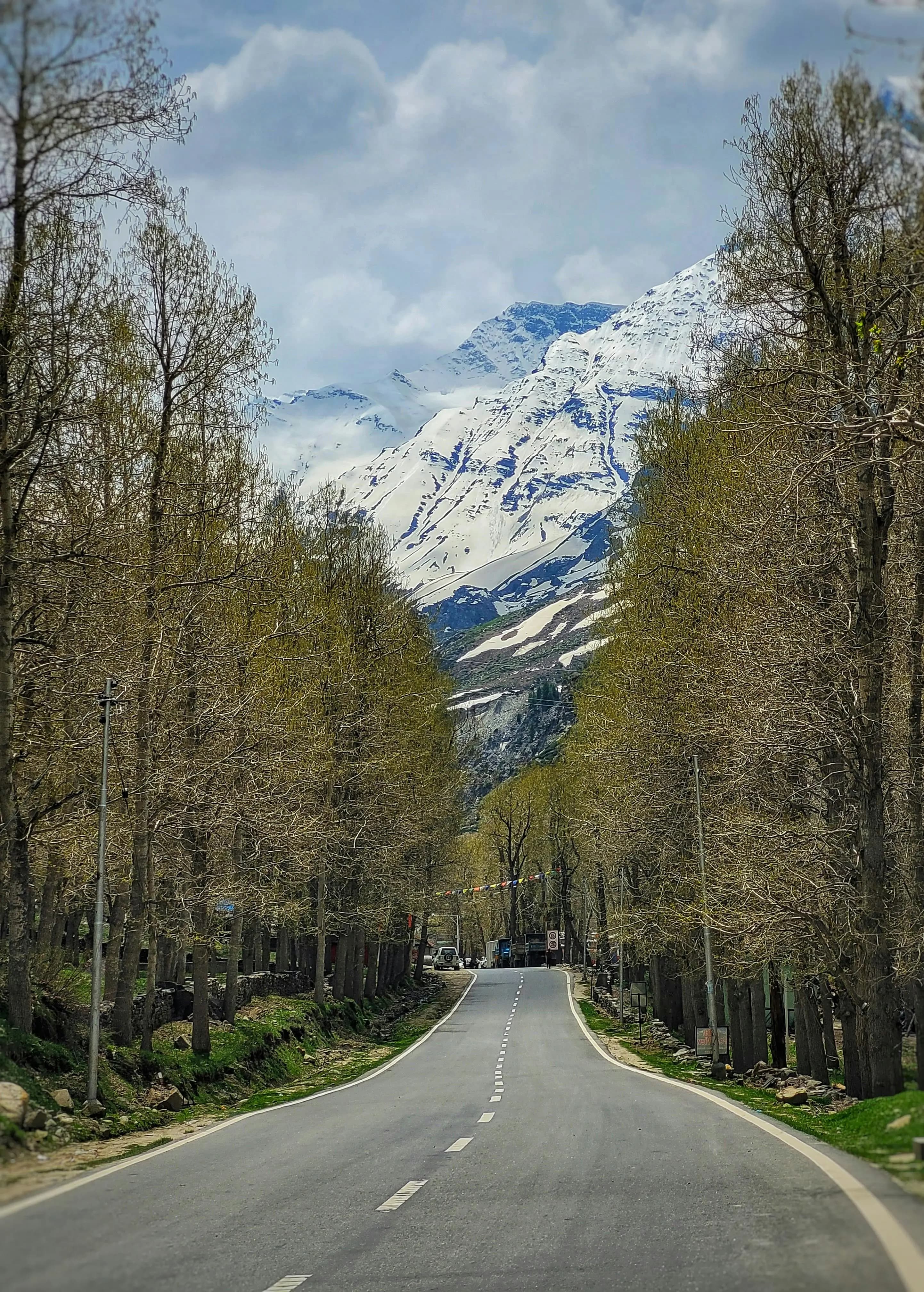 Trip to Sethan, Sissu,and Naggar: Himachal Pradesh Adventure